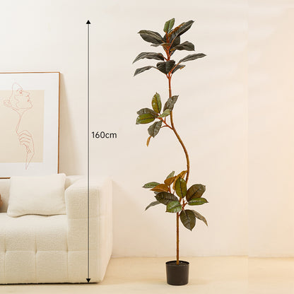 Artificial Rubber Tree - Arctic Lounge