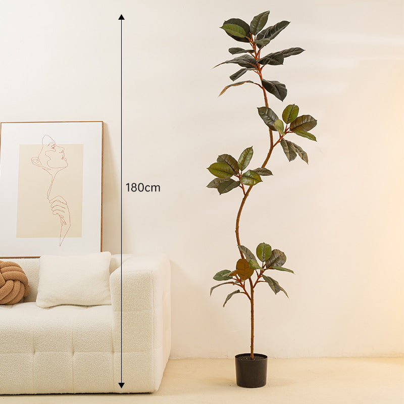 Artificial Rubber Tree - Arctic Lounge