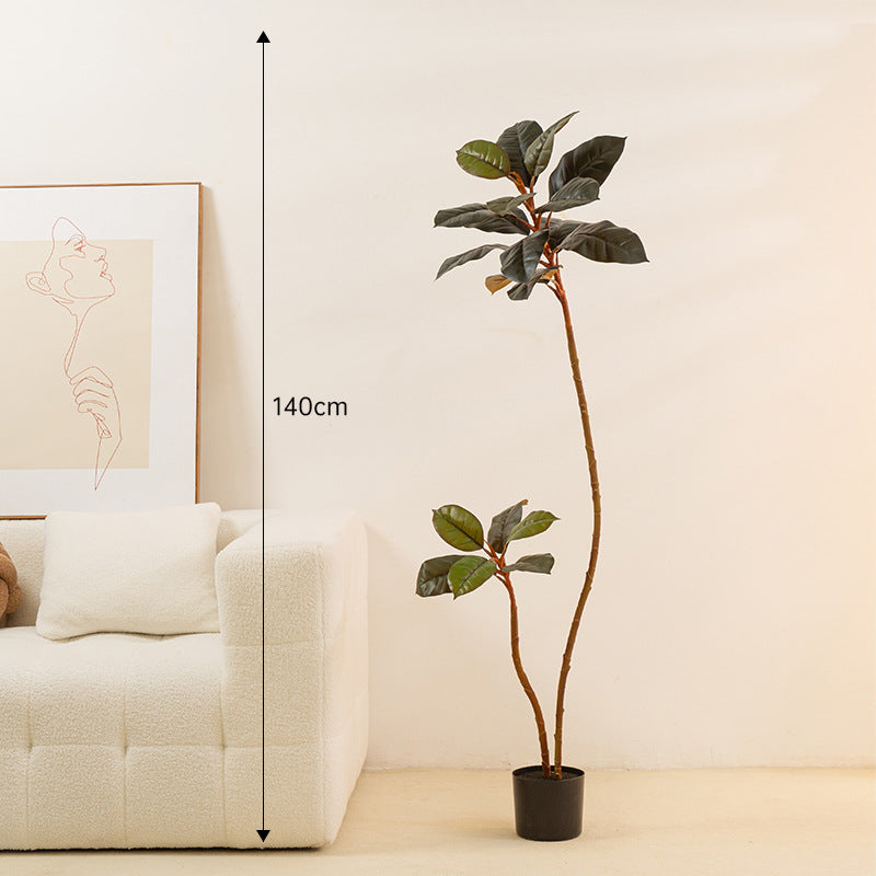 Artificial Rubber Tree - Arctic Lounge