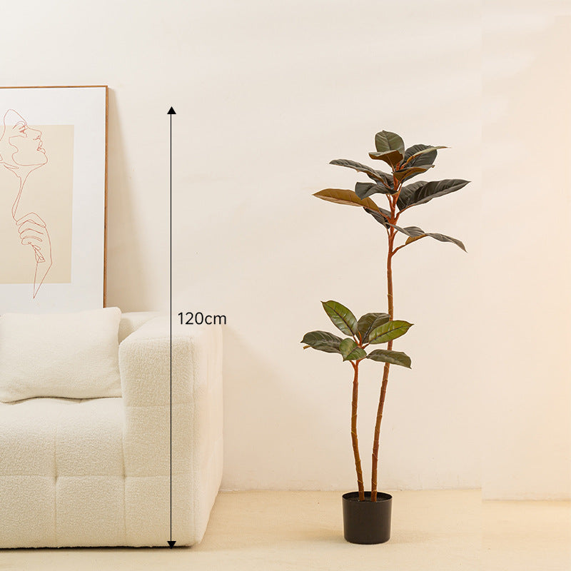 Artificial Rubber Tree - Arctic Lounge