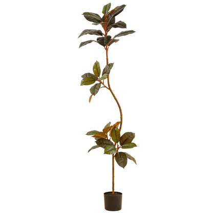 Artificial Rubber Tree - Arctic Lounge